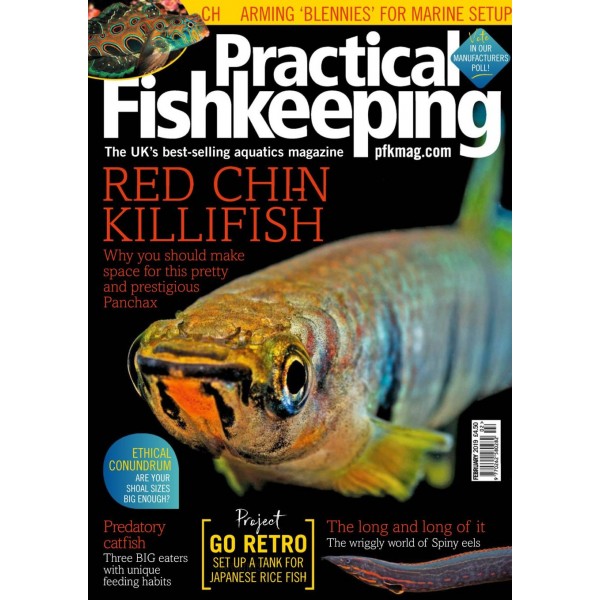 Practical fishkeeping hotsell